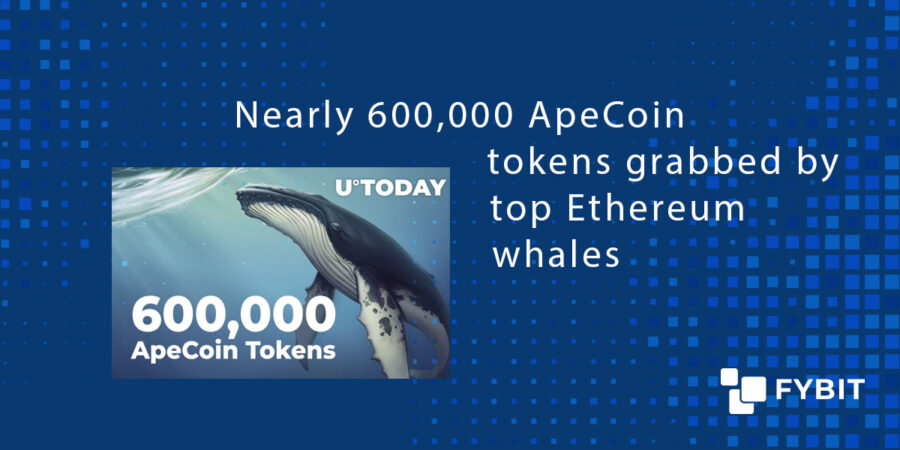 Nearly 600 000 ApeCoin Tokens Grabbed By Top Ethereum Whales FYBIT Blog