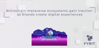 Crypto metaverse