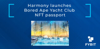 Bored Ape Yacht Club NFT passport