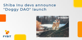 Shiba Inu devs announce "Doggy DAO" launch