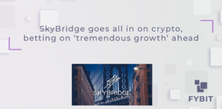 SkyBridge Capital