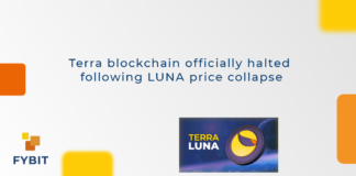 Terra blockchain and LUNA