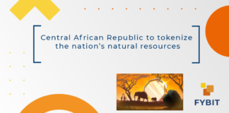 The Central African Republic (CAR) has announced plans to proceed with its ambitious Sango Project by tokenizing access to the country’s abundant natural resources.