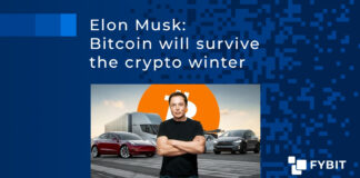 Elon Musk: Bitcoin will survive the crypto winter