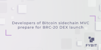 Developers of Bitcoin side-chain MicroVisionChain (MVC) have unveiled a BRC-20 decentralized exchange (DEX) as part of its roadmap for Q1 2024.